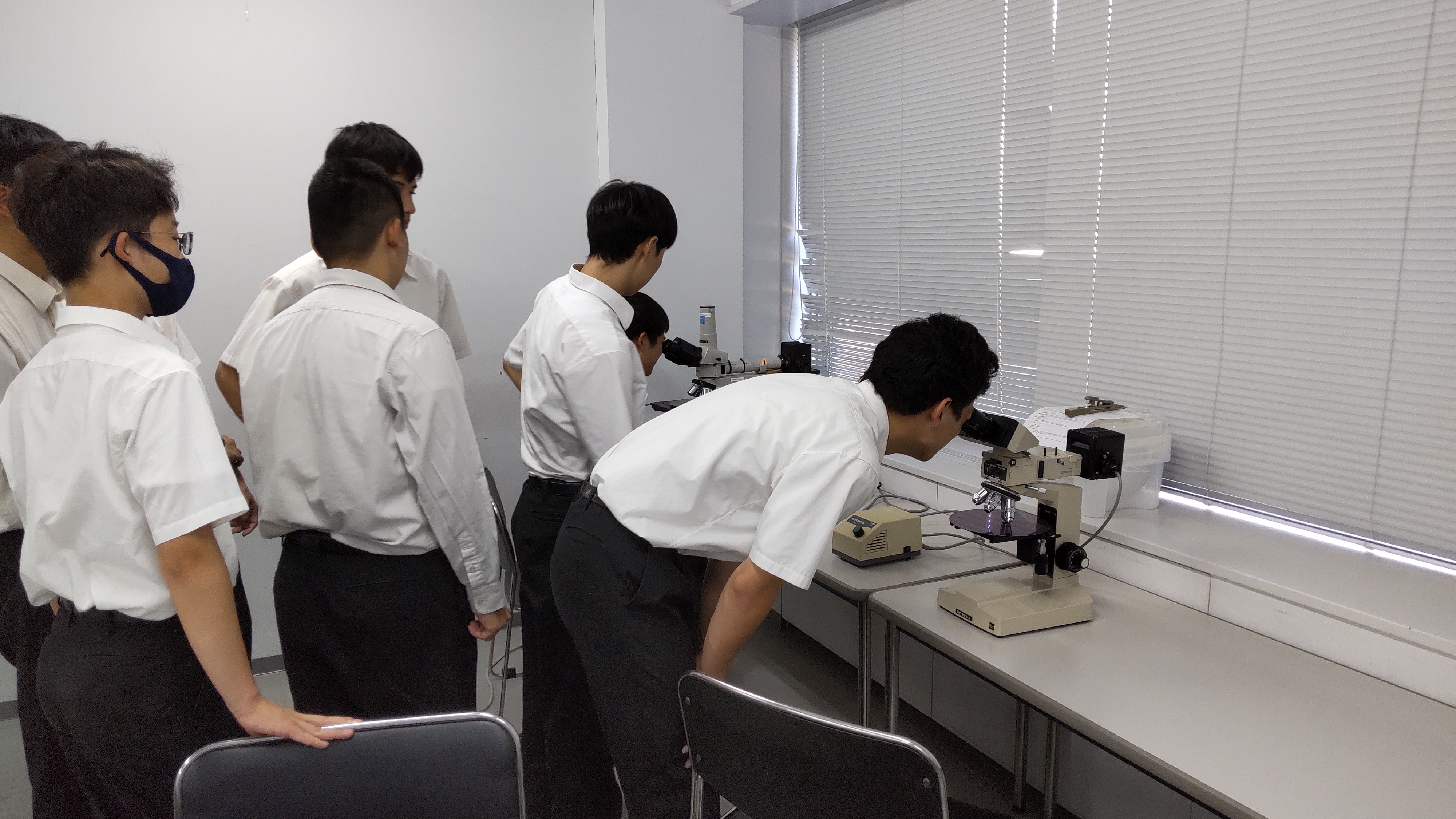 ウエハ上の集積回路チップを顕微鏡で観察する生徒たち